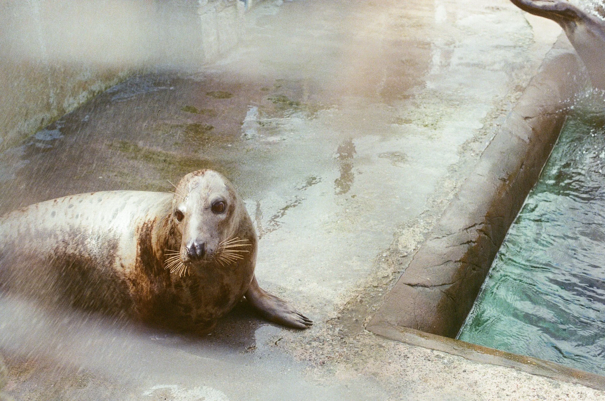 Film photograph, roll 6531, frame 17