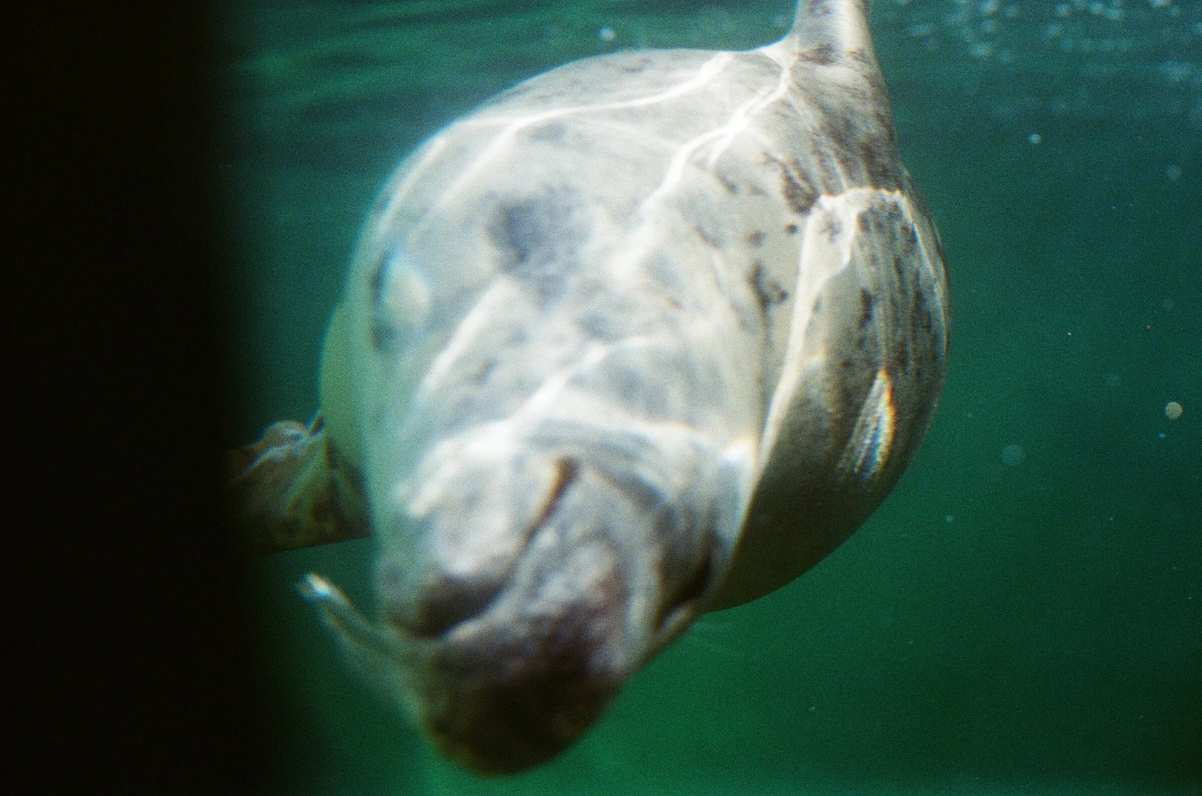 Film photograph, roll 6531, frame 22