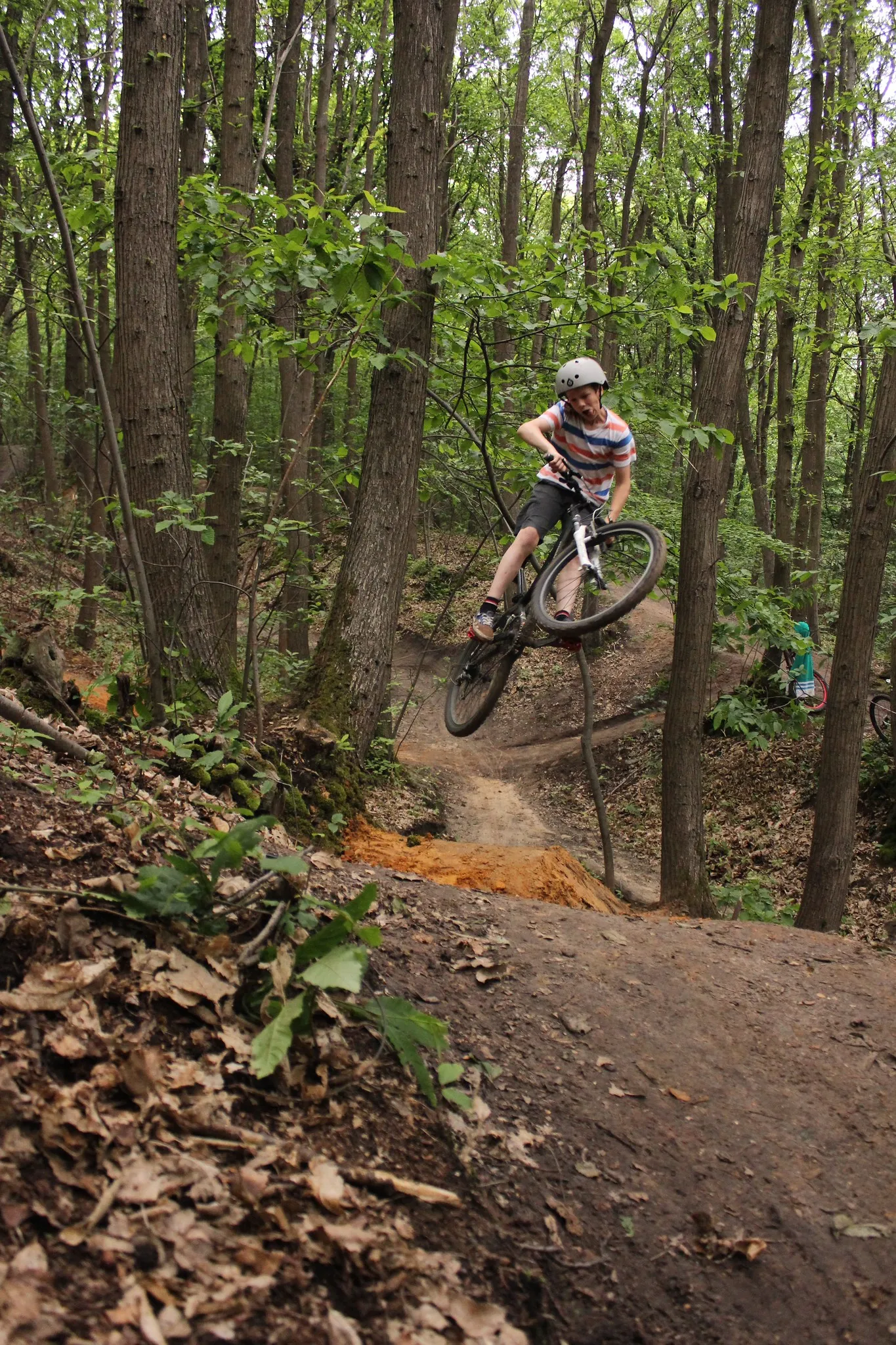 A mountain biker riding down a wooded trail